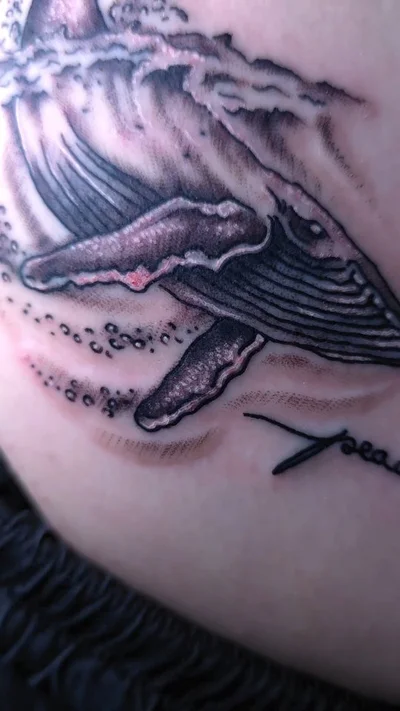 Alejandro Gallardo tattoo ig_015