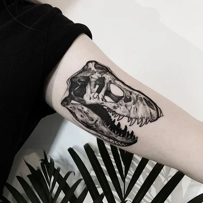 Witryna Tattoo tattoo 036