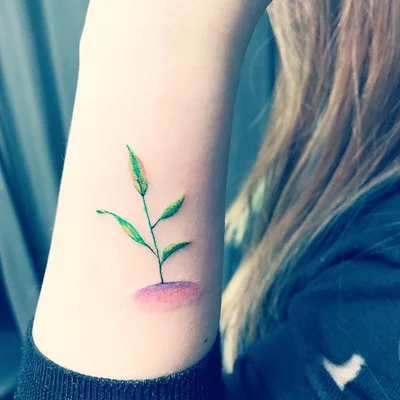 Bahar tattoo 038