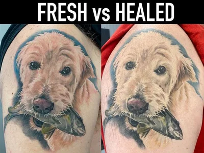 Joshua Potucek tattoo 045