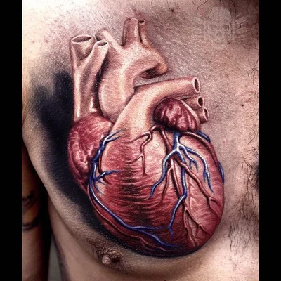 Tattooed Theory tattoo 038