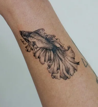 Manda tattoo 019
