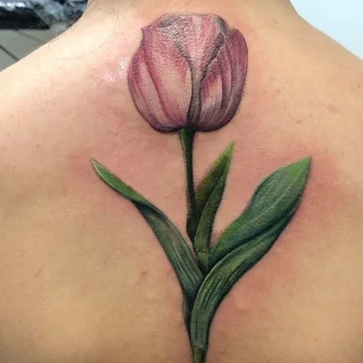 Hipertensão Tattoo Oficial tattoo 040