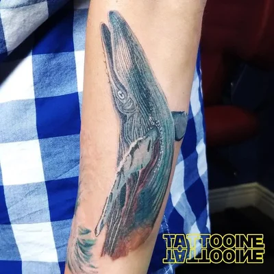 TATTOOINE tattoo 031