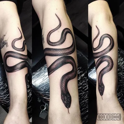 TATTOOINE tattoo 041