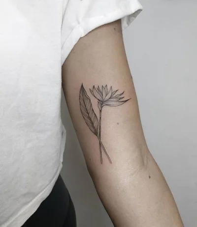 Kati Cherry tattoo 026