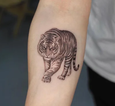 Seoultattoo Koreatattoo 호랑이타투 강아지타투 감성타투 - DH tattoo 009