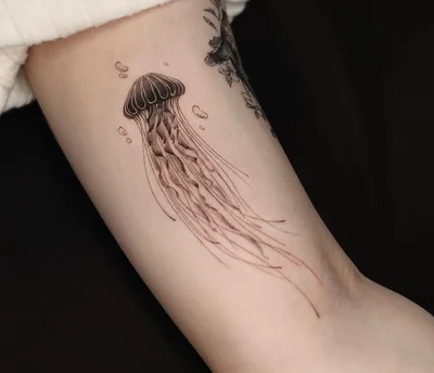 Seoultattoo Koreatattoo 호랑이타투 강아지타투 감성타투 - DH tattoo 026