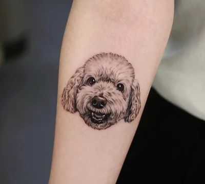 Seoultattoo Koreatattoo 호랑이타투 강아지타투 감성타투 - DH tattoo 028