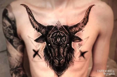 타투헬  블랙앤그레이 인물타투 동물타투 커버업타투 tattoo 020