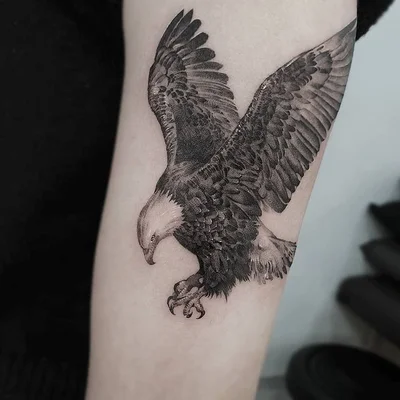 Hwi tattoo 008