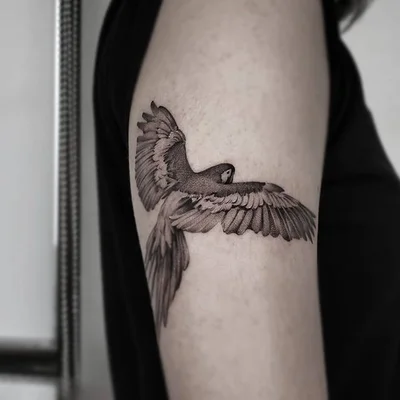 Hwi tattoo 014