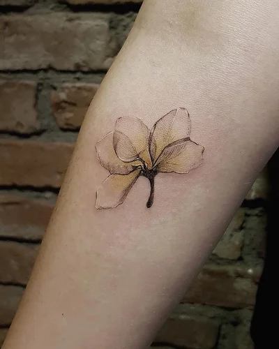 Mira tattoo 023
