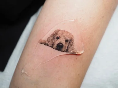 Yammy tattoo 013