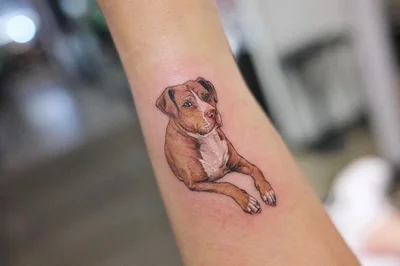 Yammy tattoo 037