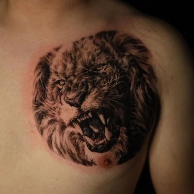 타투이스트 지브라 (Tattooist Zebra) tattoo 038