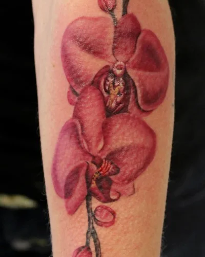 Tattooline tattoo 017
