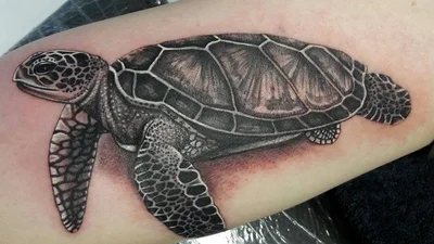 Tattooline tattoo 046