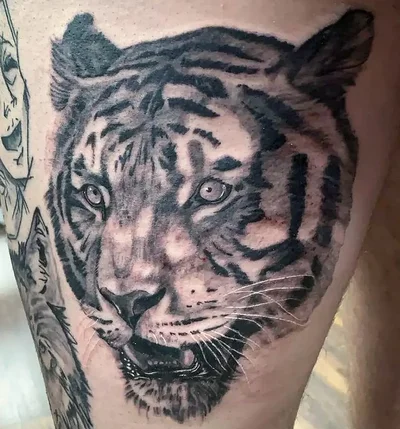 Metamorphosis Tattoo and Art Gallery Colorado tattoo 009