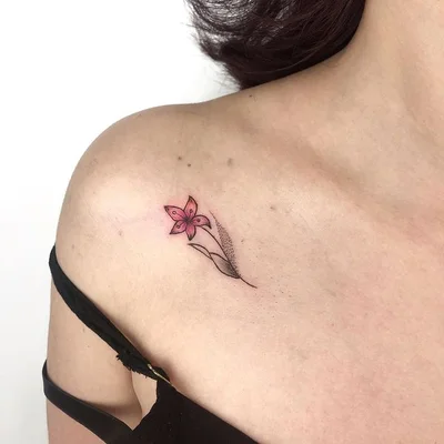 Tattoo SP tattoo 049