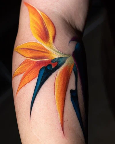 Cata tattoo 044