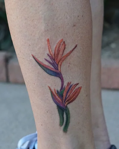 Cobblez tattoo 033