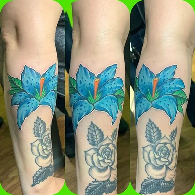 Daren Purcell tattoo 029