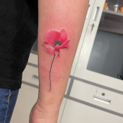 Haris Sarajlic tattoo 048