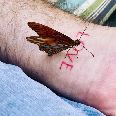 Koko tattoo 028