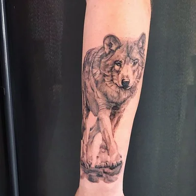 Tarp tattoo 020