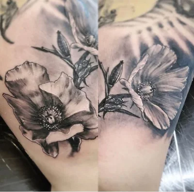 Tattoo Valor tattoo 032