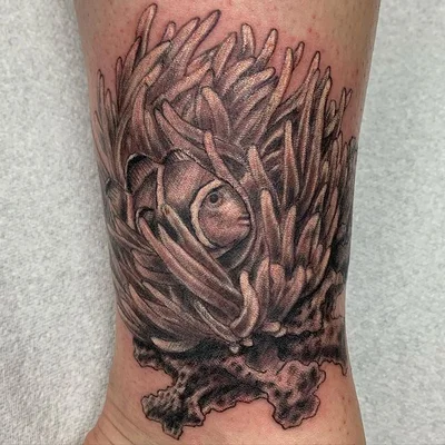 Steve Hartnoll tattoo 033