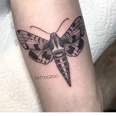 Tattoo Zoo tattoo 021