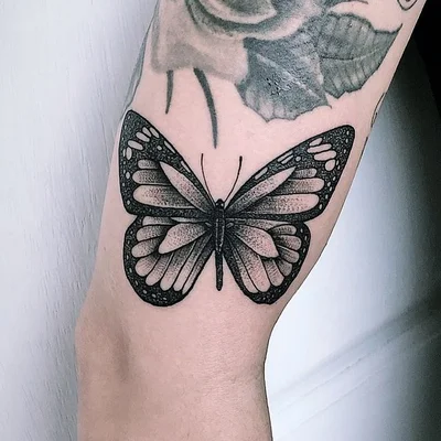 Noah tattoo 036