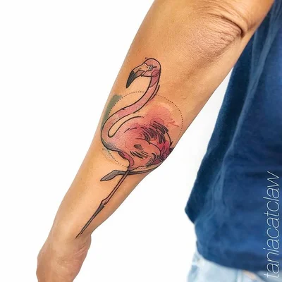 Taylor Catclaw tattoo 041
