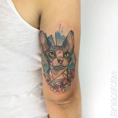 Taylor Catclaw tattoo 044