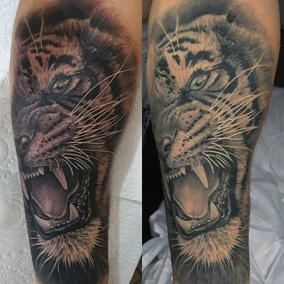 Temple Max tattoo 010