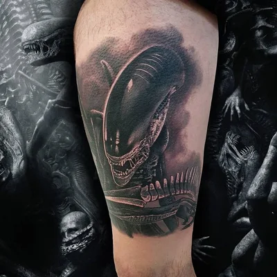 Temple Max tattoo 034