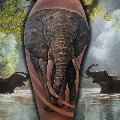 Temple Max tattoo 035