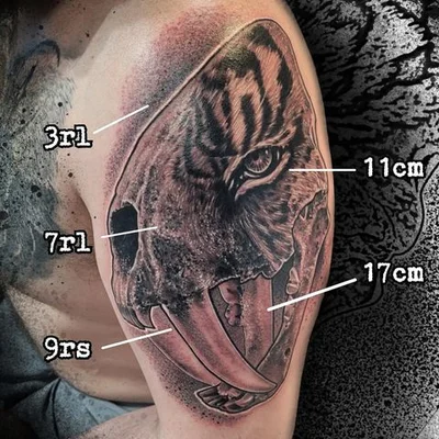 Temple Max tattoo 050