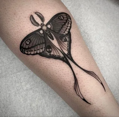 The Bell Rose Tattoo tattoo 009