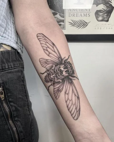 The Bell Rose Tattoo tattoo 025