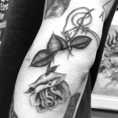 Cherry Bi tattoo 021