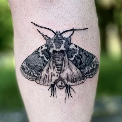 Danny the Copper Wolf tattoo 026