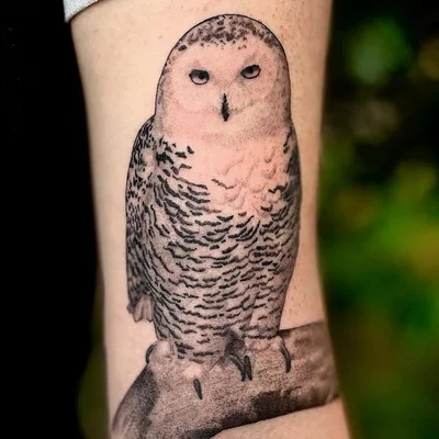 Danny the Copper Wolf tattoo 027