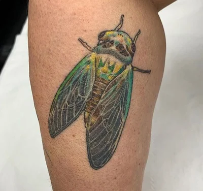 @thecrookedrook tattoo 029