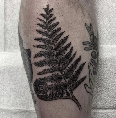 @thecrookedrook tattoo 031