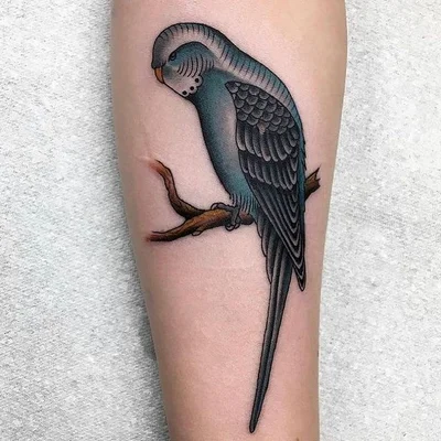 Mo Coppoletta tattoo 008