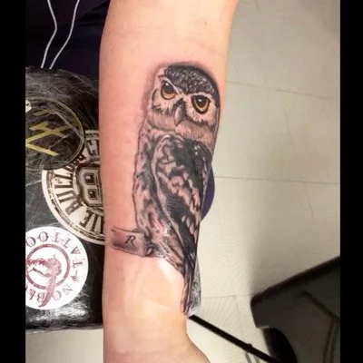 José Lasso tattoo 050