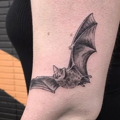 The Nova Expansion tattoo 045